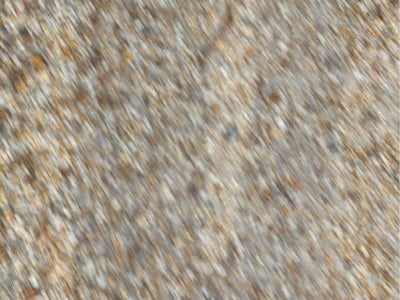 2013 Chevrolet Avalanche LT