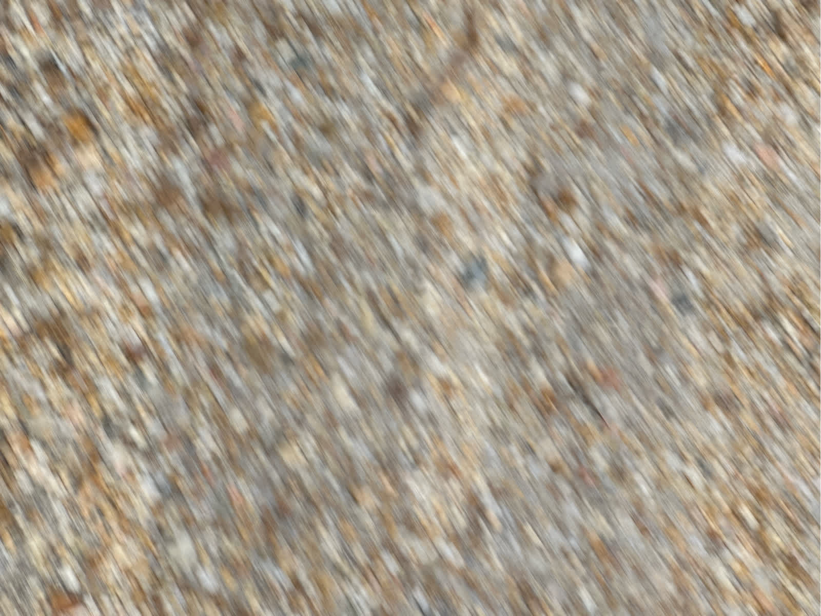 2013 Chevrolet Avalanche LT